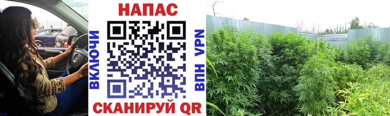 Цена Южа Гашиш  А ПВП  Cocaine  МЕФ  omg   Бошки Шишки  Метамфетамин 