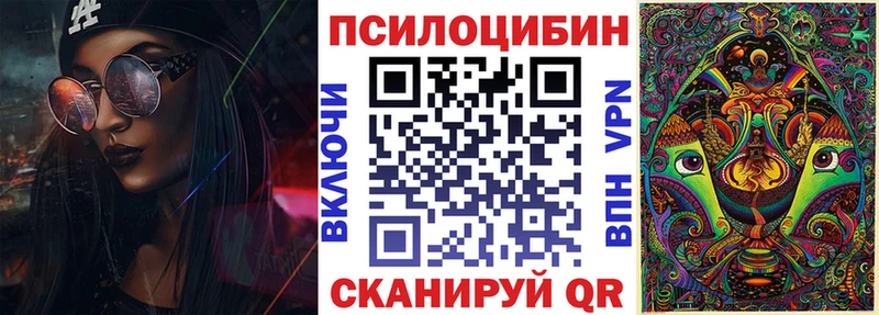 где купить наркотик  Южа  Псилоцибиновые грибы GOLDEN TEACHER 